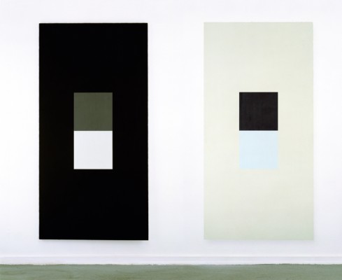 Evidence IV, V | acrylic and pigments on wood panel | each 125 x 250 cm
