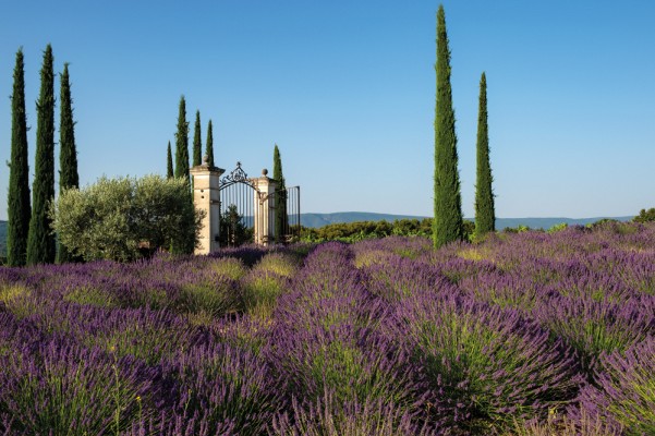 Coquillade Provence Resort & Spa © Reto Guntli