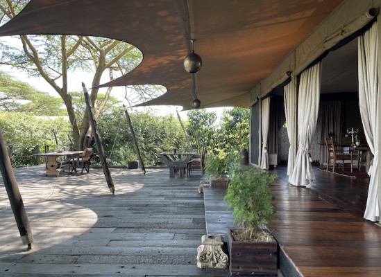 Die Terrasse weitläufig mit Blick auf Giraffen oder Elefanten; je nach Laune