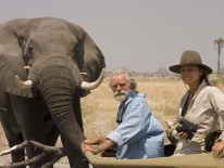 Elefant, Dereck, Beverly