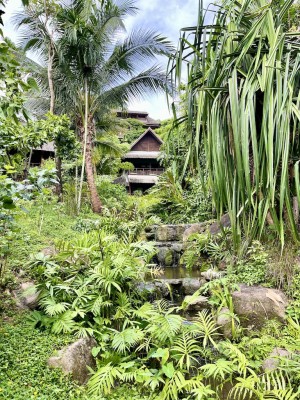 Kamalaya Wellness Sanctuary | Thailand